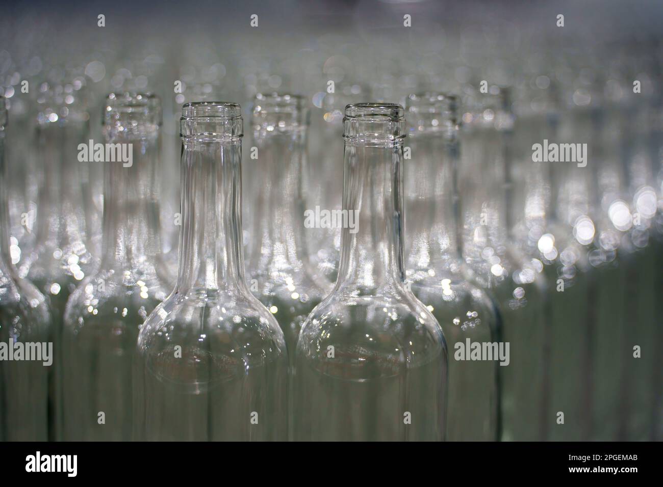 Rangées de bouteilles en verre vides Banque D'Images