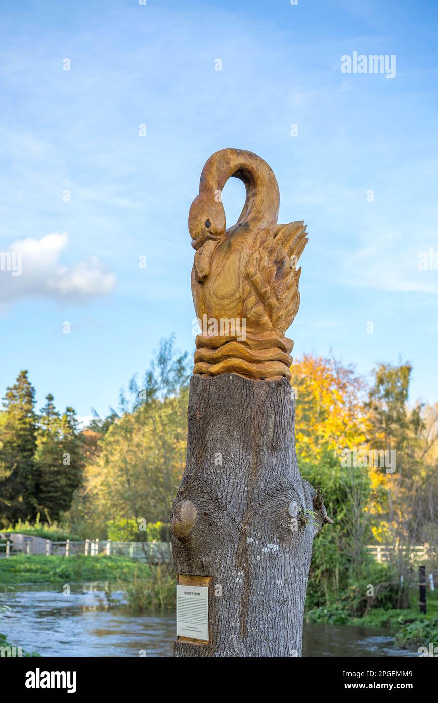Sculpture extérieure de cygne sculptée dans le bois, Royaume-Uni. Banque D'Images