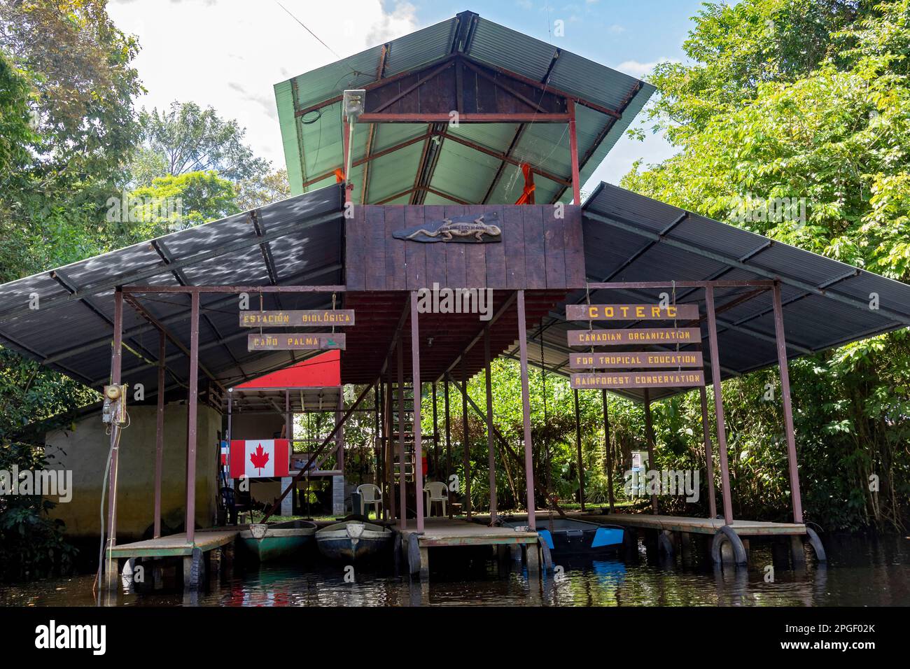 Parc national de Tortuguero, Costa Rica - Une station de recherche biologique dans la forêt tropicale côtière exploitée par l'Organisation canadienne de l'Edu tropical Banque D'Images