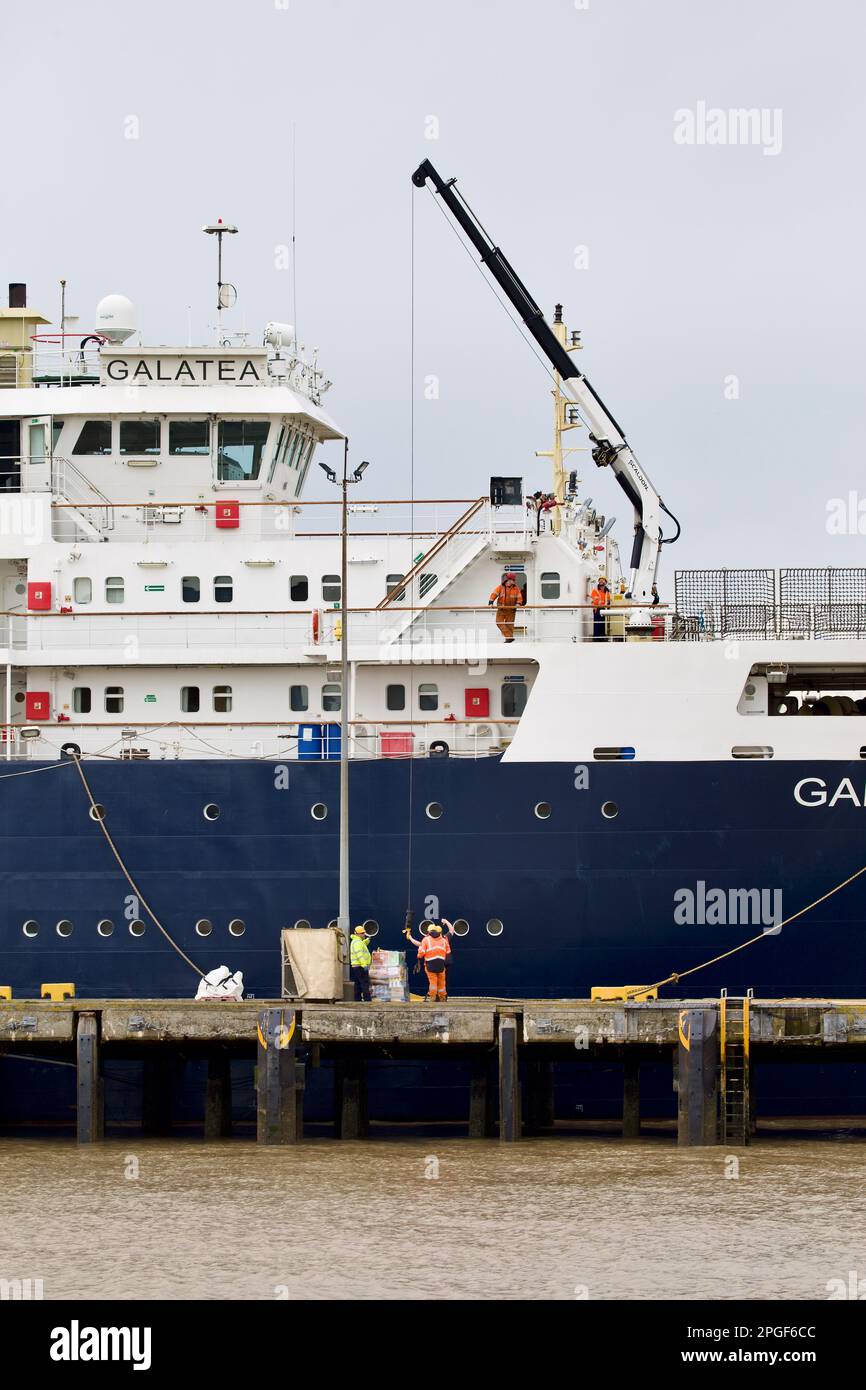 Les employés et l'équipage du navire de bouées de Trinity House, Galatea, chargent des fournitures à bord du Galatea en préparation du départ. Banque D'Images
