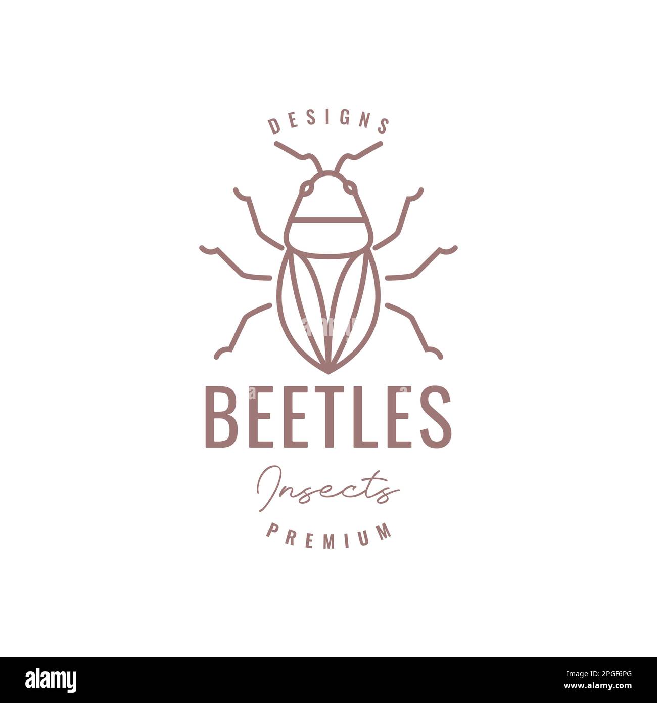 animaux insectes carabes scarabée ligne art hipster logo design vecteur Illustration de Vecteur