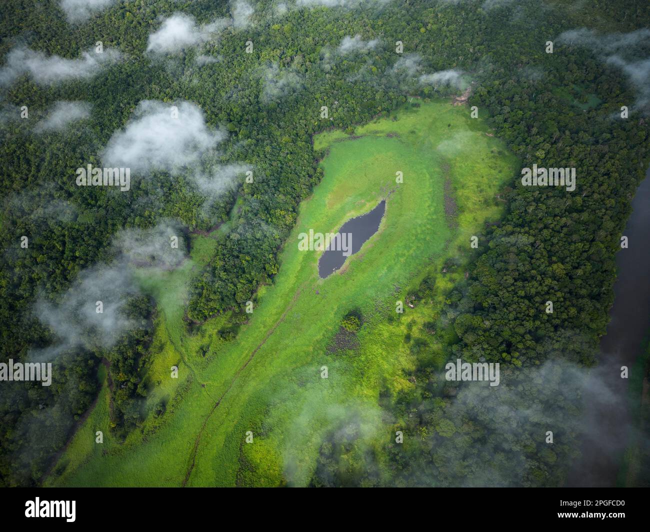 Belle vue de haut en bas de drone sur la grande rivière et la forêt tropicale verte Banque D'Images