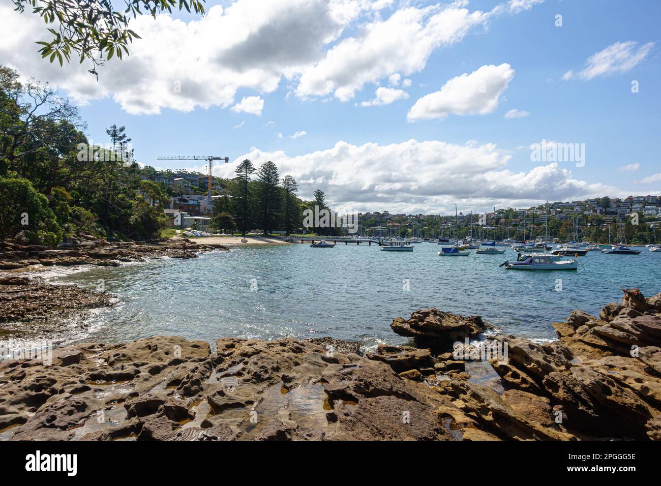 Forty paniers Beach dans le port nord de Sydney, en Australie Banque D'Images