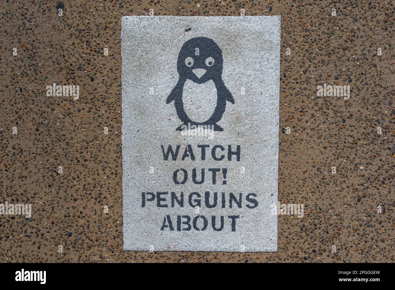 Un panneau peint sur le trottoir demandant aux gens d'observer les pingouins à Manly, Sydney, Australie Banque D'Images