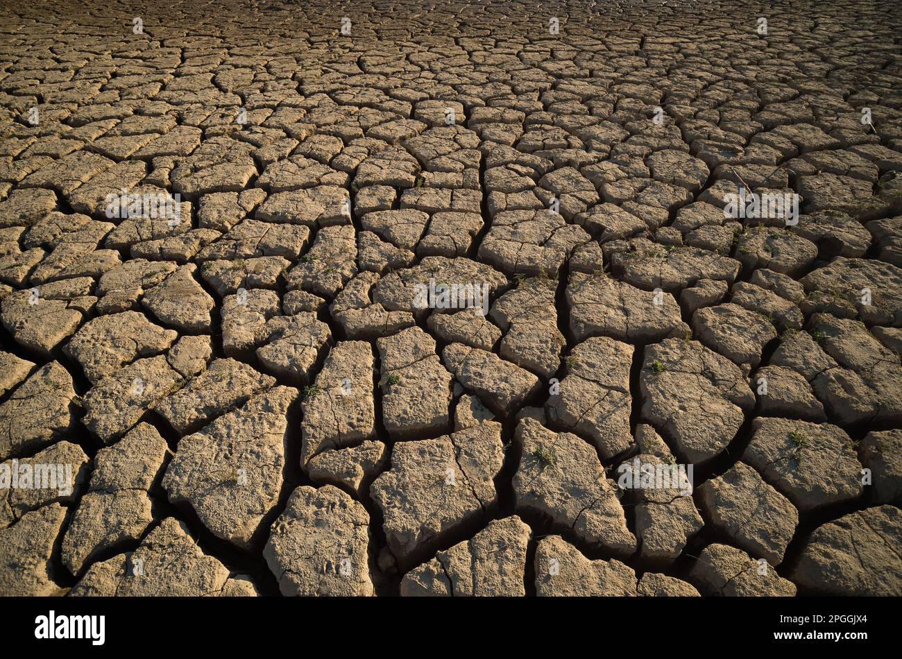 Le sol fissuré du réservoir de la Vinuela est vu avant une manifestation contre le changement climatique, organisée par Amnesty International. Pour marquer la Journée internationale de l'eau, des militants d'Amnesty International, ainsi que plusieurs organisations environnementales, ont dénoncé le changement climatique et ses effets sur les droits de l'homme dans le monde entier par une performance qui représente la mort symbolique du réservoir de la Viñuela. Le réservoir de Viñuela, qui fournit de l'eau aux municipalités près de la région d'Axarquia, est à un niveau d'eau minimal en raison de la grave sécheresse dans la province. (Photo de Jésus Merid Banque D'Images