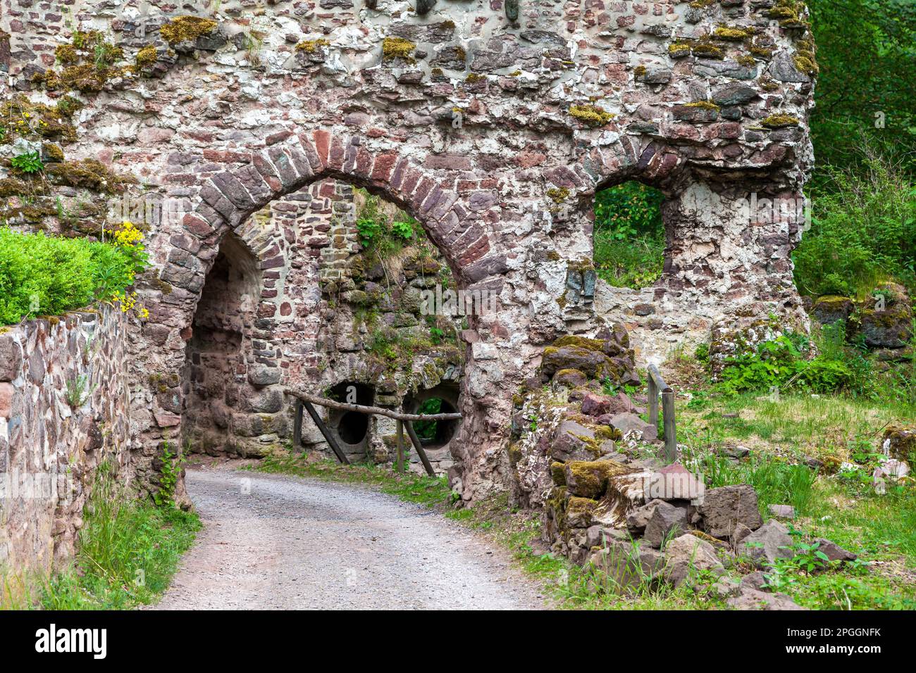 Château de Hohnstein ruine Neustadt im Harz Banque D'Images