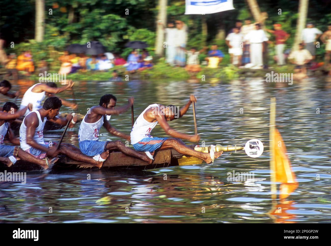 Courses de bateaux à serpent à Payippad près de Haripad, Kerala, Inde, Asie Banque D'Images
