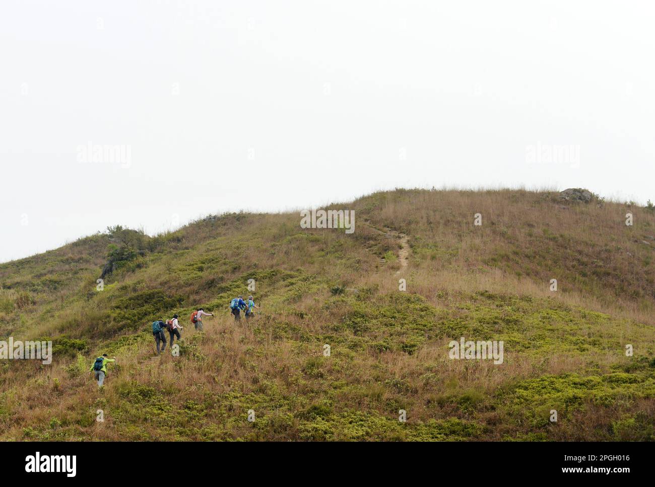 Randonnée dans le Lam Tsuen Country Park dans les nouveaux territoires de Hong Kong. Banque D'Images