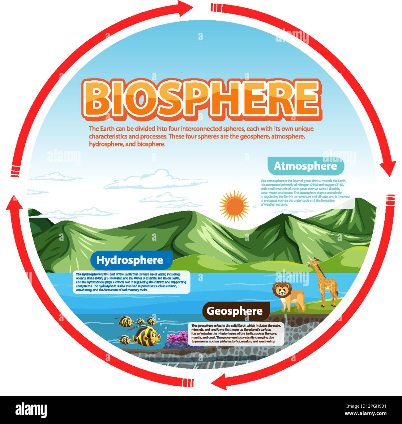 Infographie sur l'écologie de la biosphère pour l'illustration de l'apprentissage Illustration de Vecteur