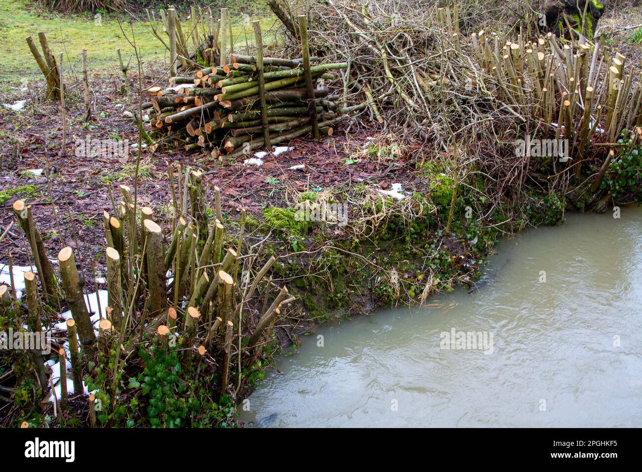 En cours d'entretien des terres sur le Framlingham Mere Suffolk Banque D'Images