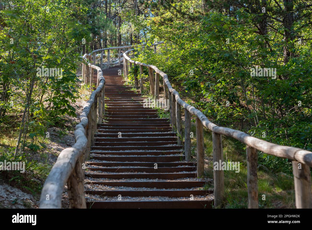 Escaliers de dunes le long du sentier de randonnée dans la réserve naturelle des dunes de Schoorlser, Schoorl, Hollande du Nord, pays-Bas, Europe Banque D'Images