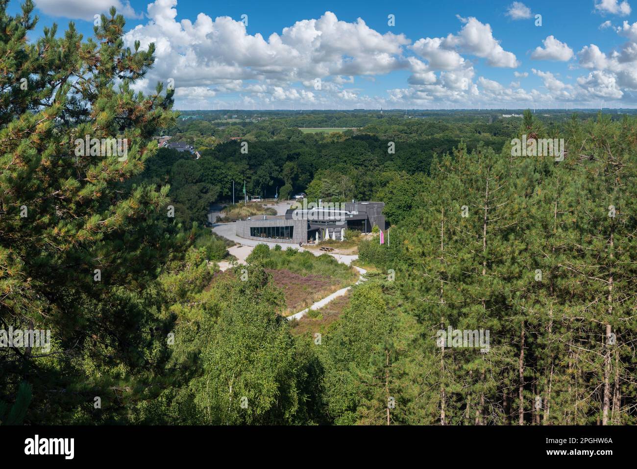 Paysage dans la réserve naturelle Schoorlser Dunes avec vue sur Buitencentrum, Schoorl, Hollande du Nord, pays-Bas, Europe Banque D'Images