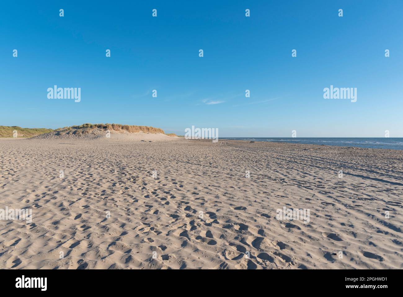 Plage de Camperduin, Schoorl, Hollande-Nord, pays-Bas, Europe Banque D'Images