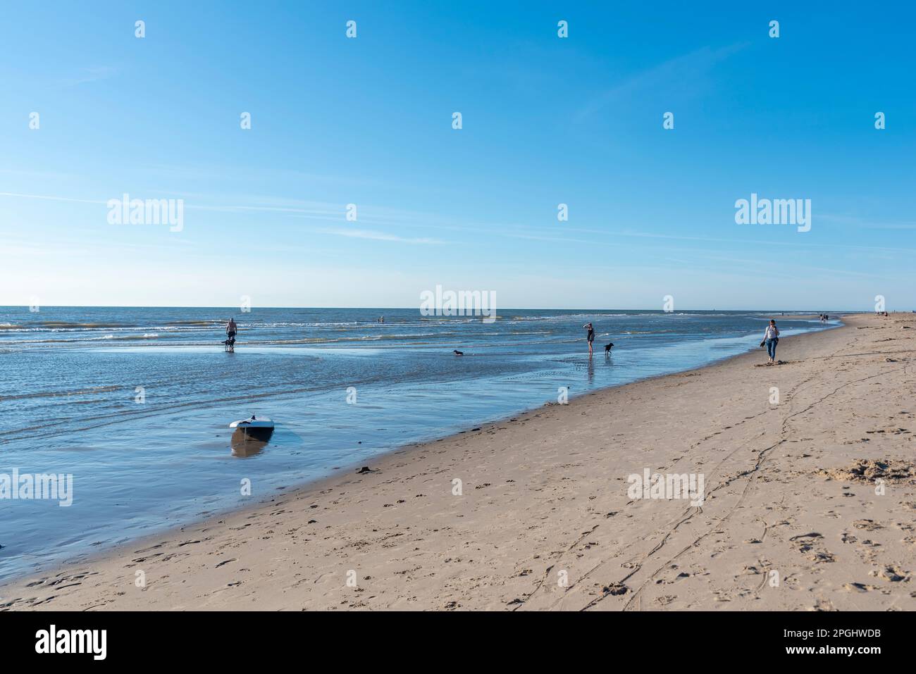 Plage de Camperduin, Schoorl, Hollande-Nord, pays-Bas, Europe Banque D'Images