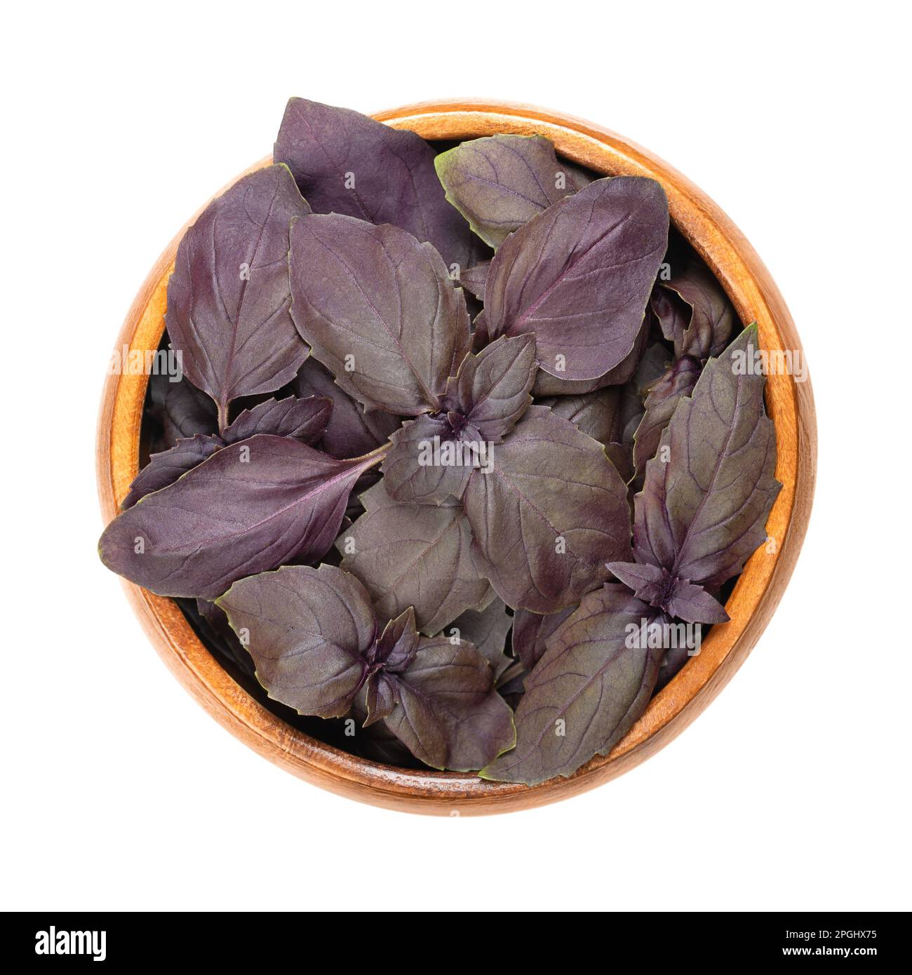 Feuilles de basilic roubin rouge, dans un bol en bois. Ocimum basilicum purpurascens frais, une variation de basilic doux, avec des feuilles roulades-pourpres inhabituelles. Banque D'Images