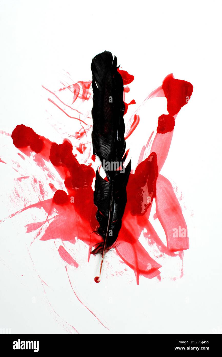Art abstrait avec plumes noires sur éclaboussures de peinture rouge Banque D'Images
