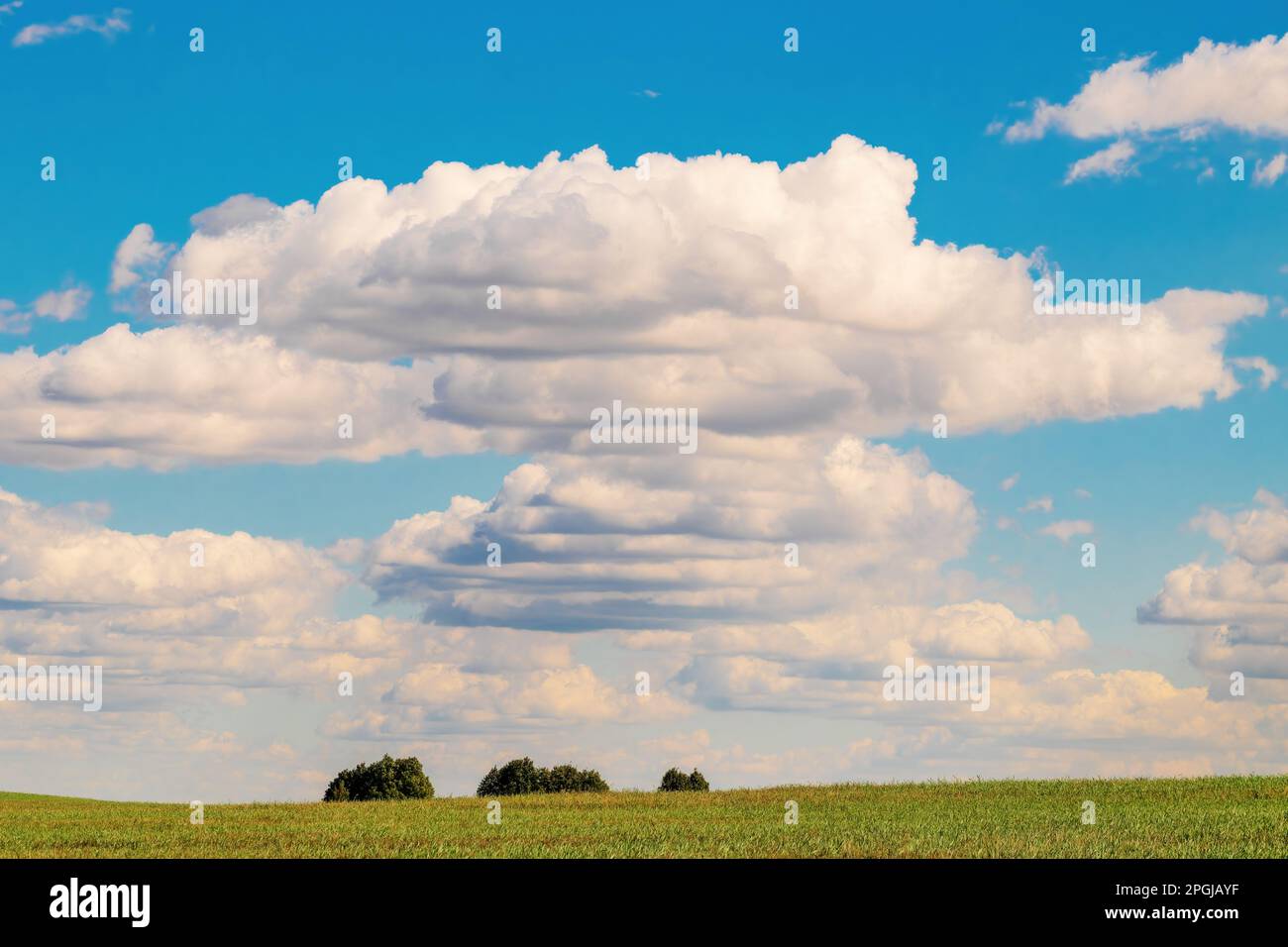 Gros cumulus nuages sur un champ agricole. Paysage rural. Horizon, nuages, ciel bleu. Banque D'Images