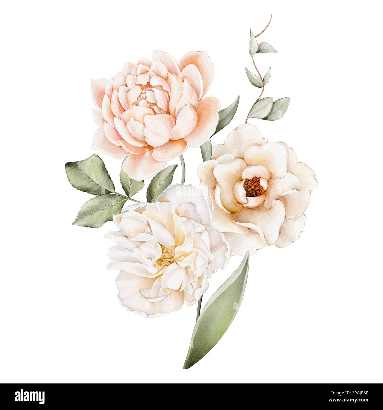 Bouquet floral aquarelle de fleurs blanches et roses, feuilles vertes. Illustrations, isolées sur fond blanc pour les invitations de mariage, anniversaire, poste Banque D'Images