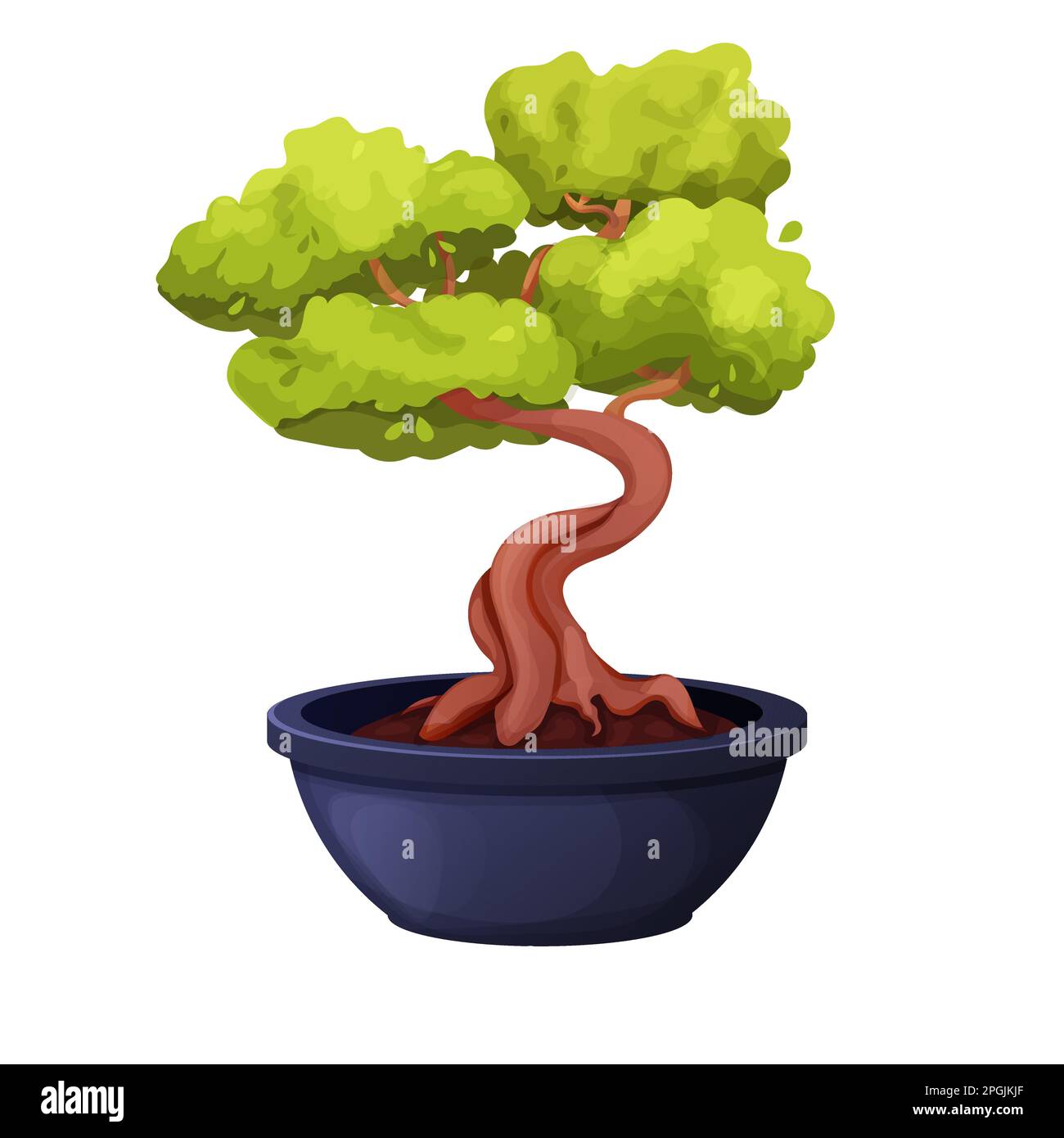 Arbre Bonsai avec tronc torsadé, feuillage en pot de céramique dans le style de dessin animé, mini plante asiatique isolée sur fond blanc. Illustration vectorielle Illustration de Vecteur