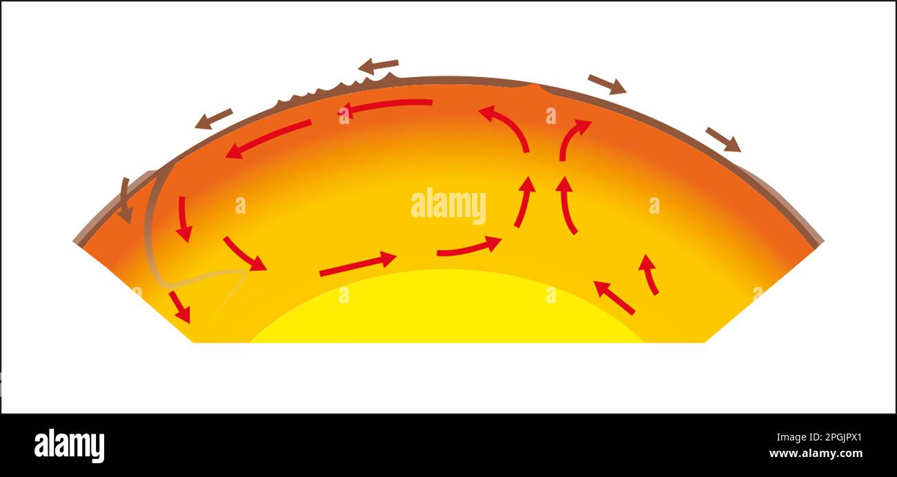 stemage net worth