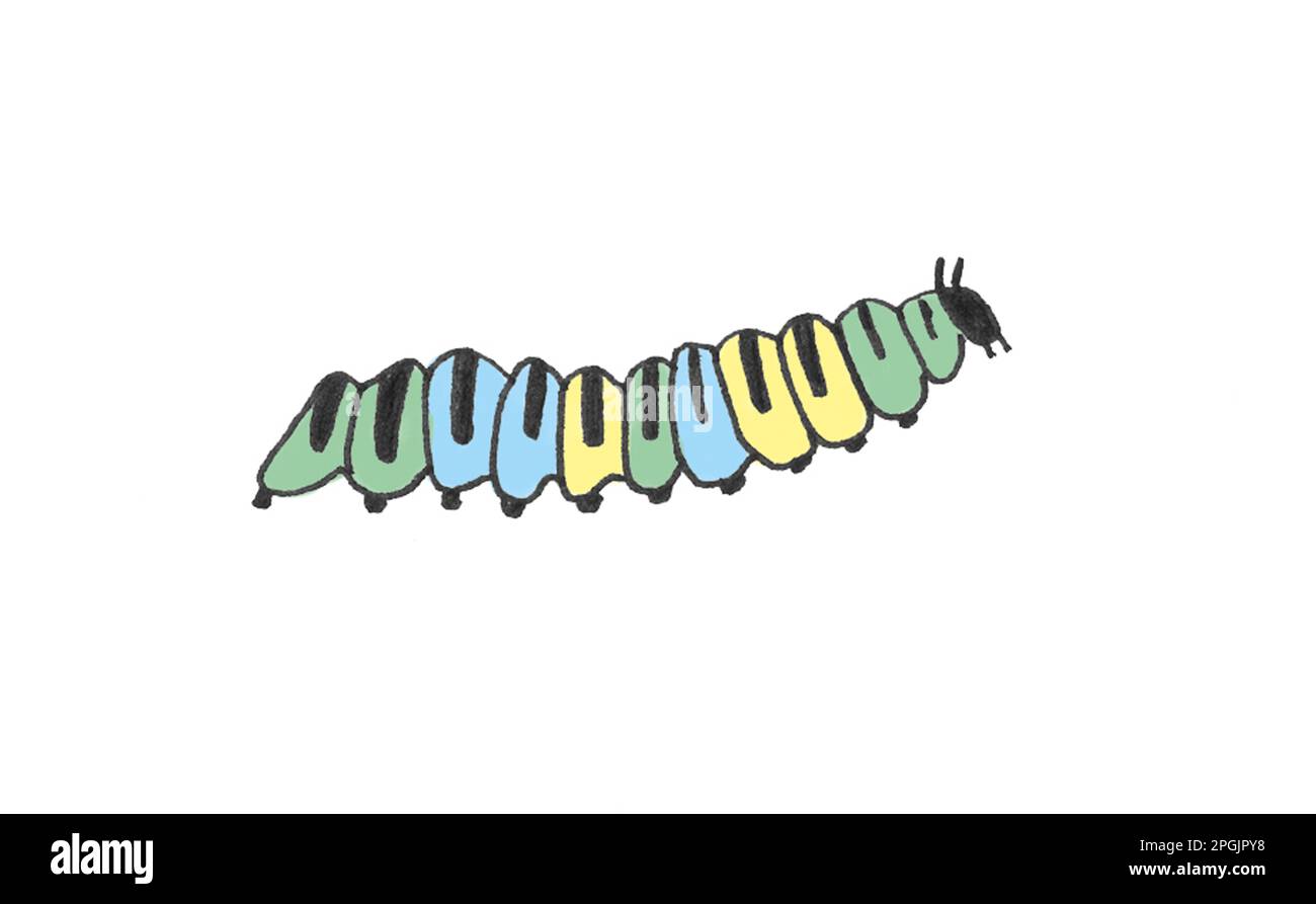 Illustration d'une chenille Banque D'Images