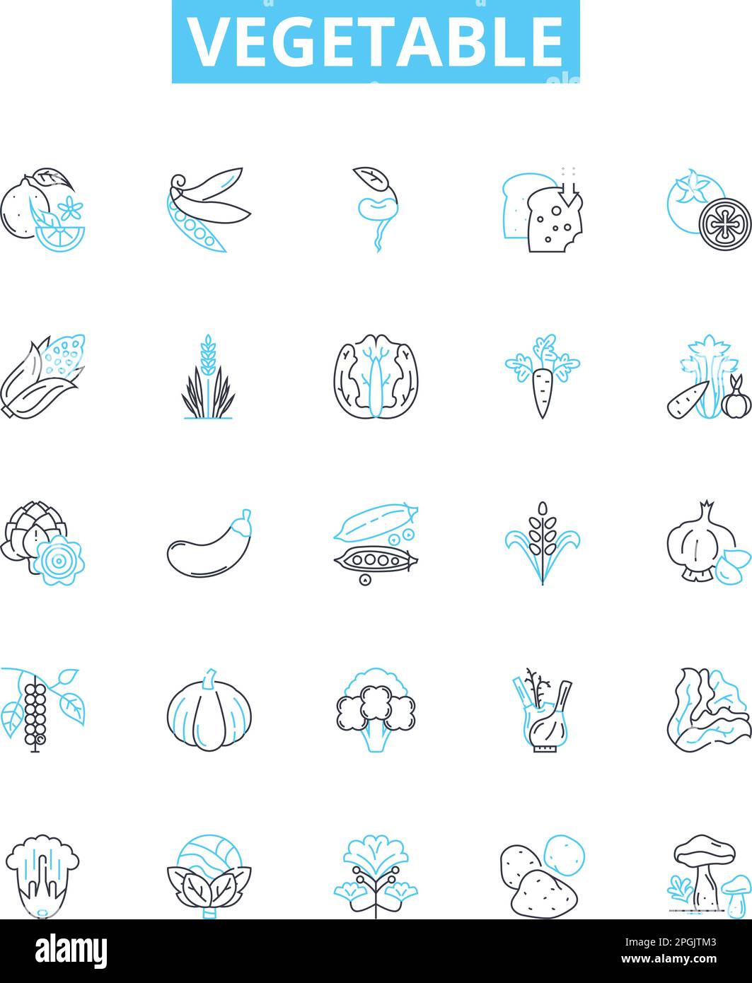 Jeu d'icônes de lignes vectorielles végétales. Pois, carottes, céleri, pommes de terre, brocoli, Radis, illustration de Celeriac, présentent les symboles et les signes du concept Illustration de Vecteur