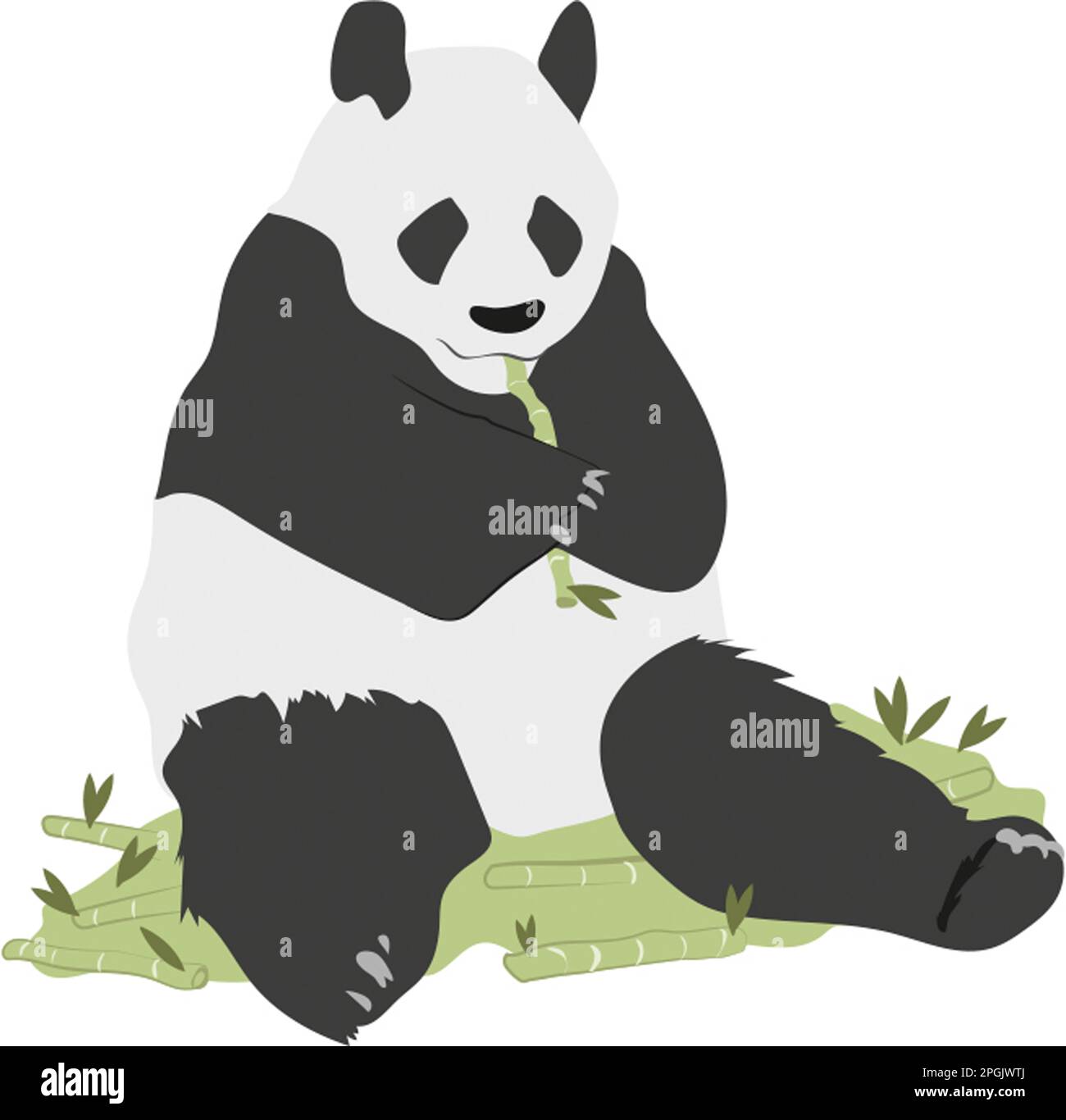 Panda géant Banque D'Images