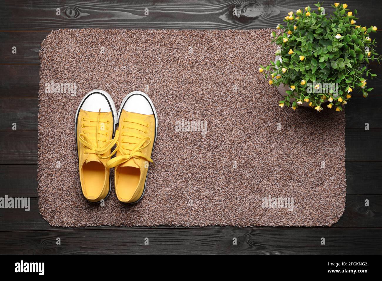 Nouveau tapis de porte propre avec chaussures et plante sur parquet noir, vue de dessus Banque D'Images