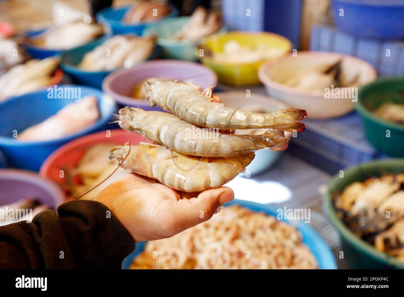 Sanaa, Yémen. 7th mars 2023. Un poissonnier présente des crevettes sur un marché de Sanaa, Yémen, 7 mars 2023. Depuis que le gouvernement yéménite a imposé une interdiction sur les exportations de poisson en février, qui visait à réduire la pénurie alimentaire et à stabiliser les prix locaux, les marchés du poisson de tout le pays déchiré par la guerre ont connu une forte baisse des prix et un boom des ventes. Toutefois, la mesure bien intentionnée a mis en colère les pêcheurs du pays. POUR ALLER AVEC "Feature: Interdiction d'exportation de poissons par Yemeni gov't apporte des poissons bon marché mais angers pêcheurs" crédit: Mohammed Mohammed/Xinhua/Alay Live News Banque D'Images