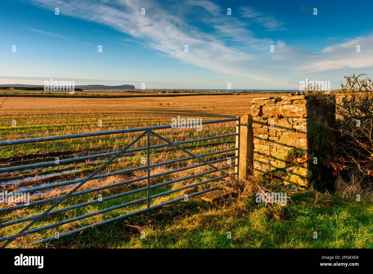 Dunnet Head, depuis une porte d'entrée près du village de Mey, Caithness, Écosse, Royaume-Uni. Banque D'Images