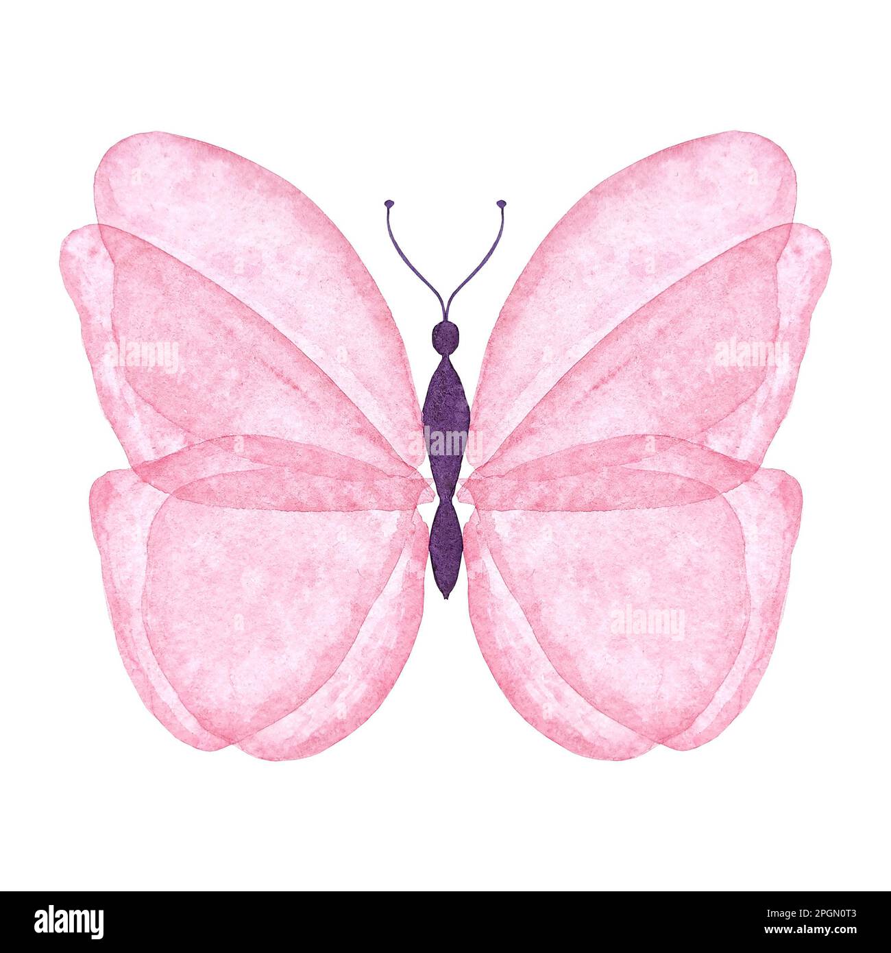 Illustration isolée papillon rose aquarelle. Insecte de style botanique peint à la main sur fond blanc pour une utilisation dans le mariage, les vacances, le design des enfants Banque D'Images