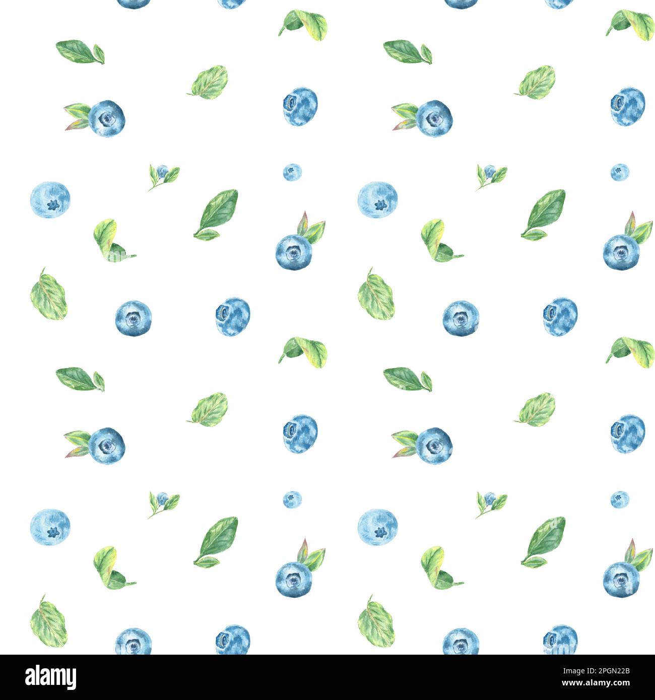 Motif bleuets sans coutures. Branche aquarelle avec baies, myrtille et feuilles sur fond blanc peint à la main dans le style botanique pour le tissu Banque D'Images