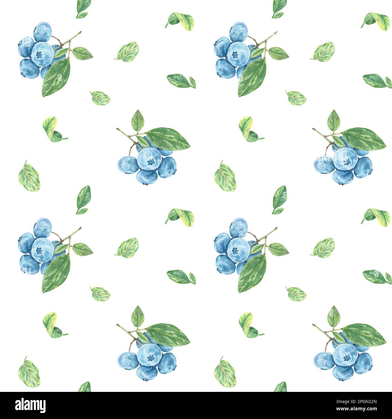 Motif bleuets sans coutures. Branche aquarelle avec baies, myrtille et feuilles sur fond blanc peint à la main dans le style botanique pour le tissu Banque D'Images