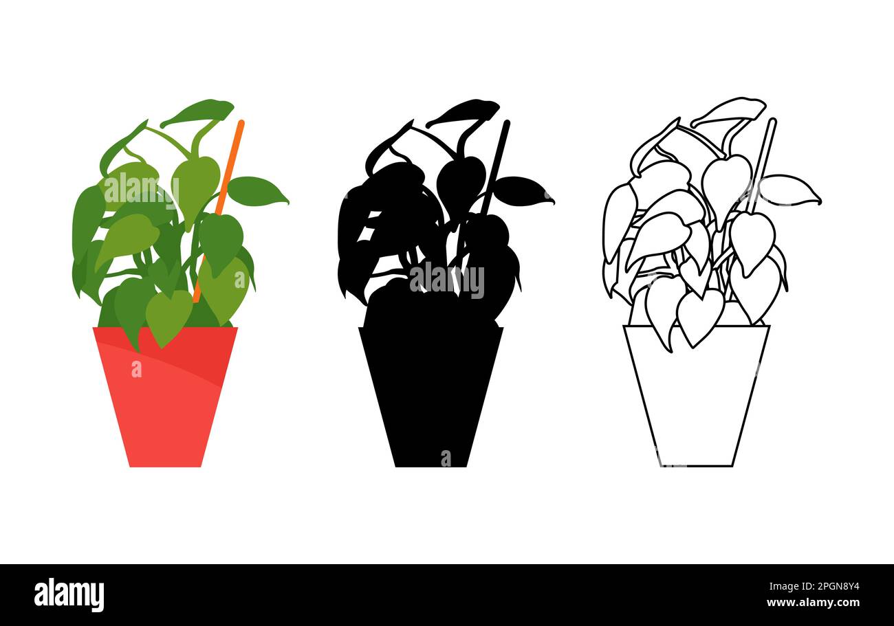 Plantes de maison en couleurs, noir et blanc. Intérieur design scandinave. Elément de conception. Illustration vectorielle Illustration de Vecteur