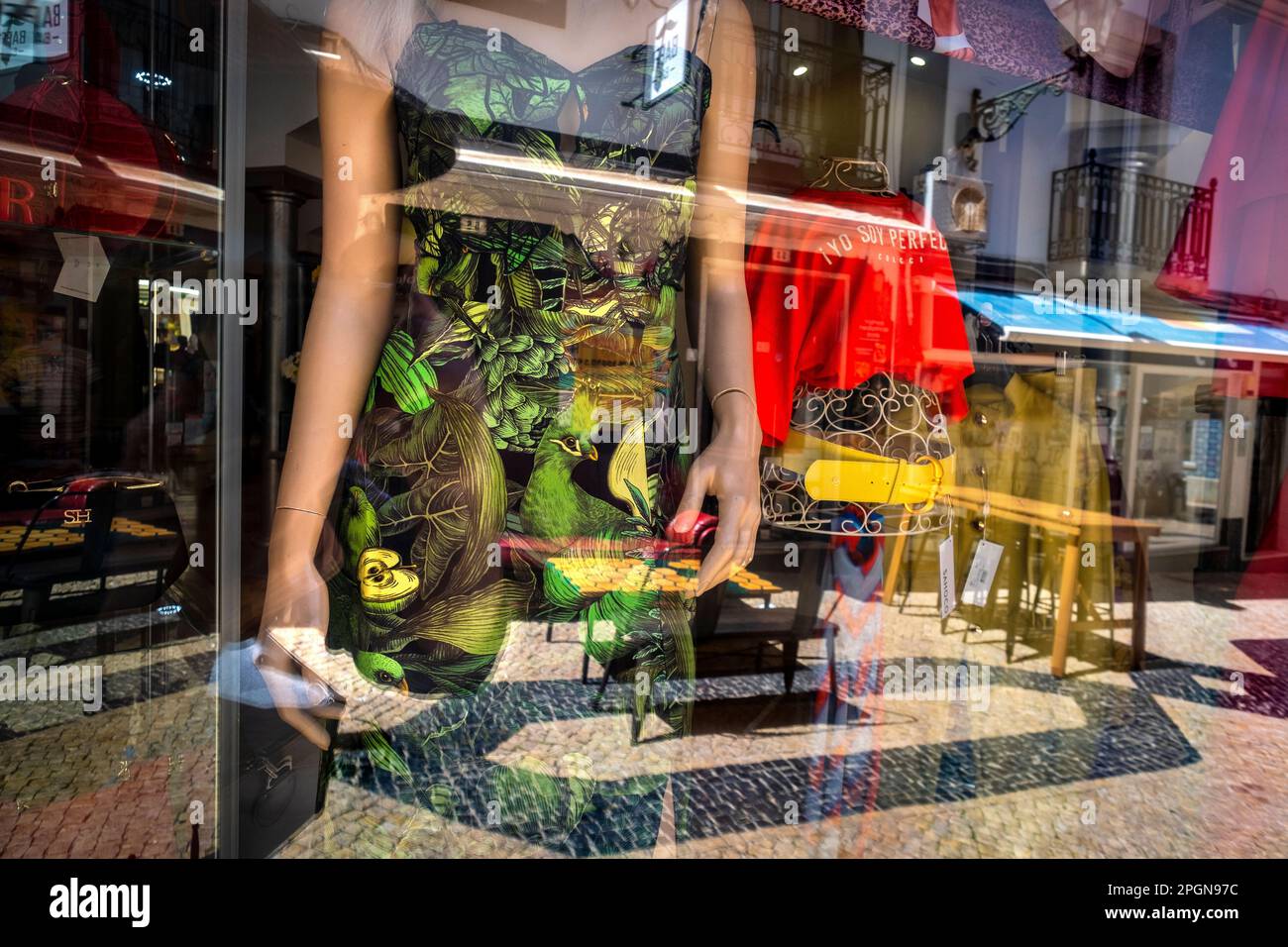 Oiseau tropical vert sur une robe dans une fenêtre de magasin Banque D'Images