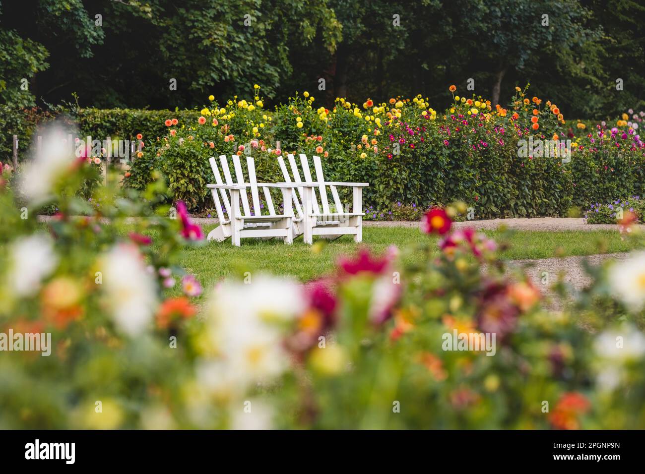 Allemagne, Hambourg, chaises vides dans le parc Dahliengarten Banque D'Images
