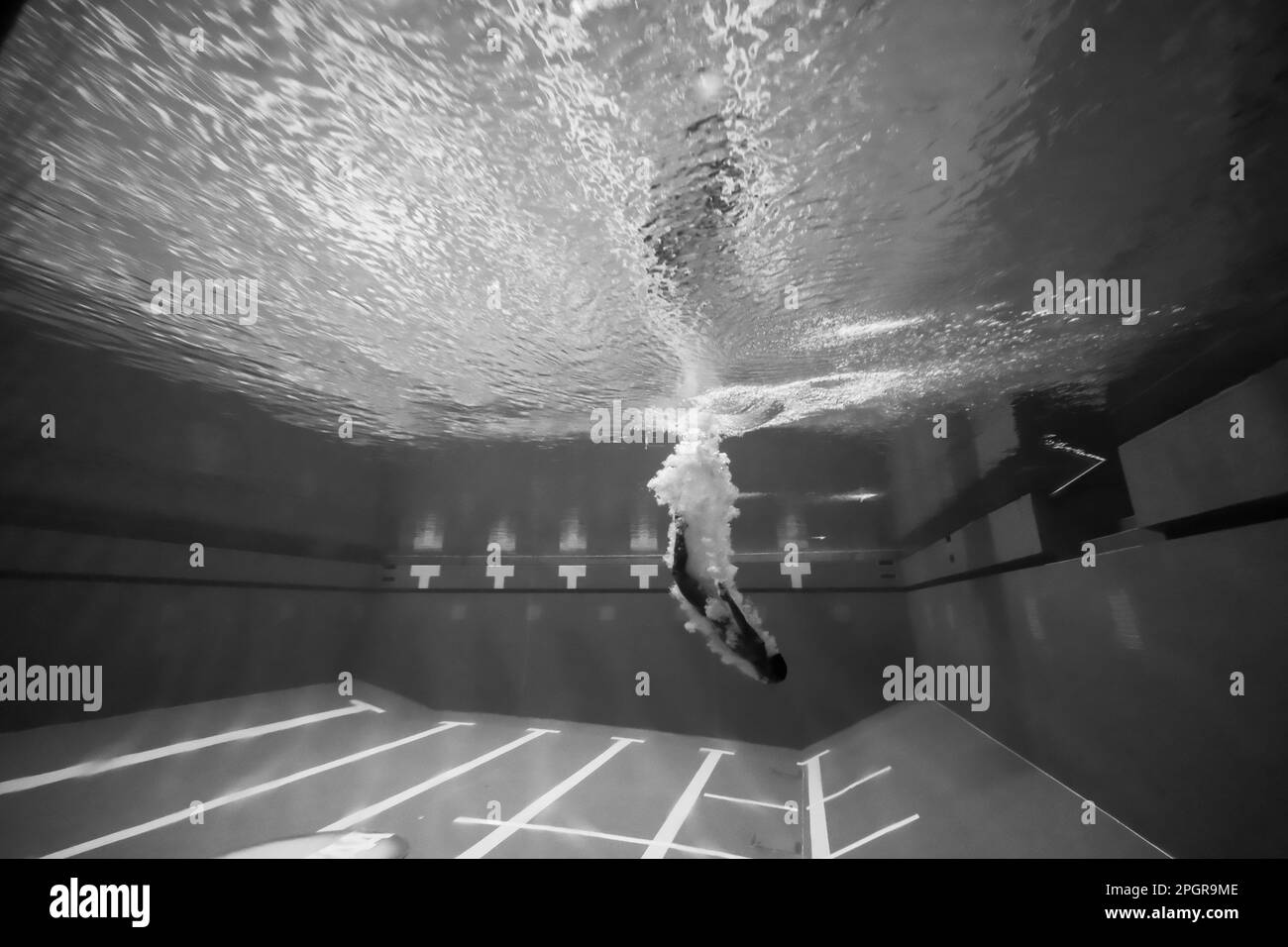 Minneapolis, Minnesota, États-Unis. 23rd mars 2023. Vue sous-marine du puits de plongée aux Championnats de natation et de plongée hommes NCAA 2023 à Minneapolis (Credit image: © Steven Garcia/ZUMA Press Wire) USAGE ÉDITORIAL SEULEMENT! Non destiné À un usage commercial ! Banque D'Images