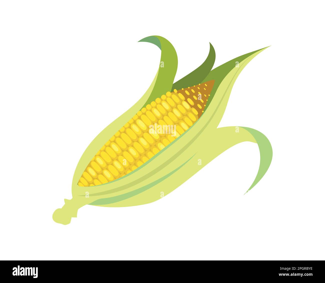 Maïs détaillé et brillant ou épis de maïs avec l'illustration du Husk de maïs Illustration de Vecteur