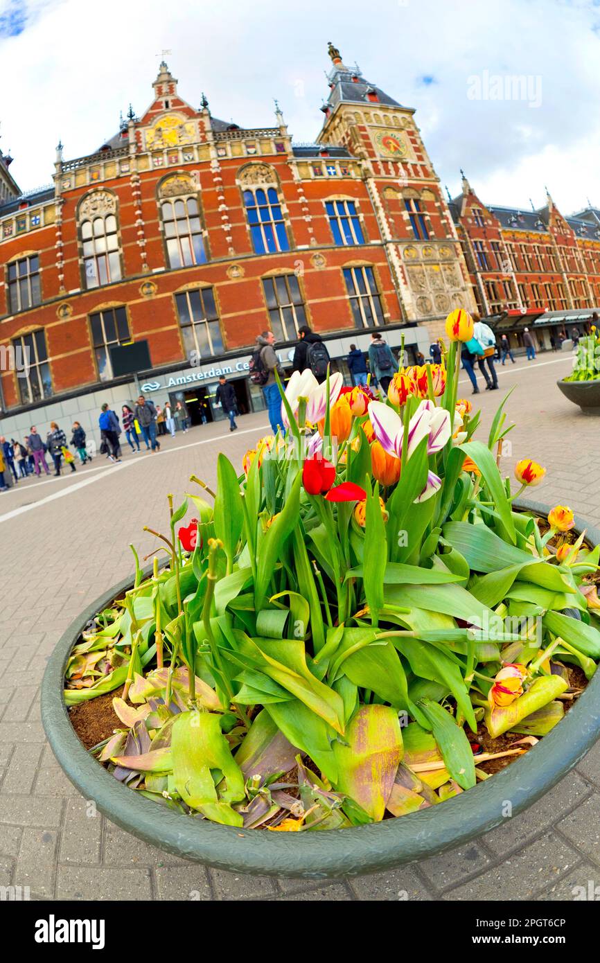 Gare centrale, Amsterdam, Hollande, pays-Bas, Europe Banque D'Images