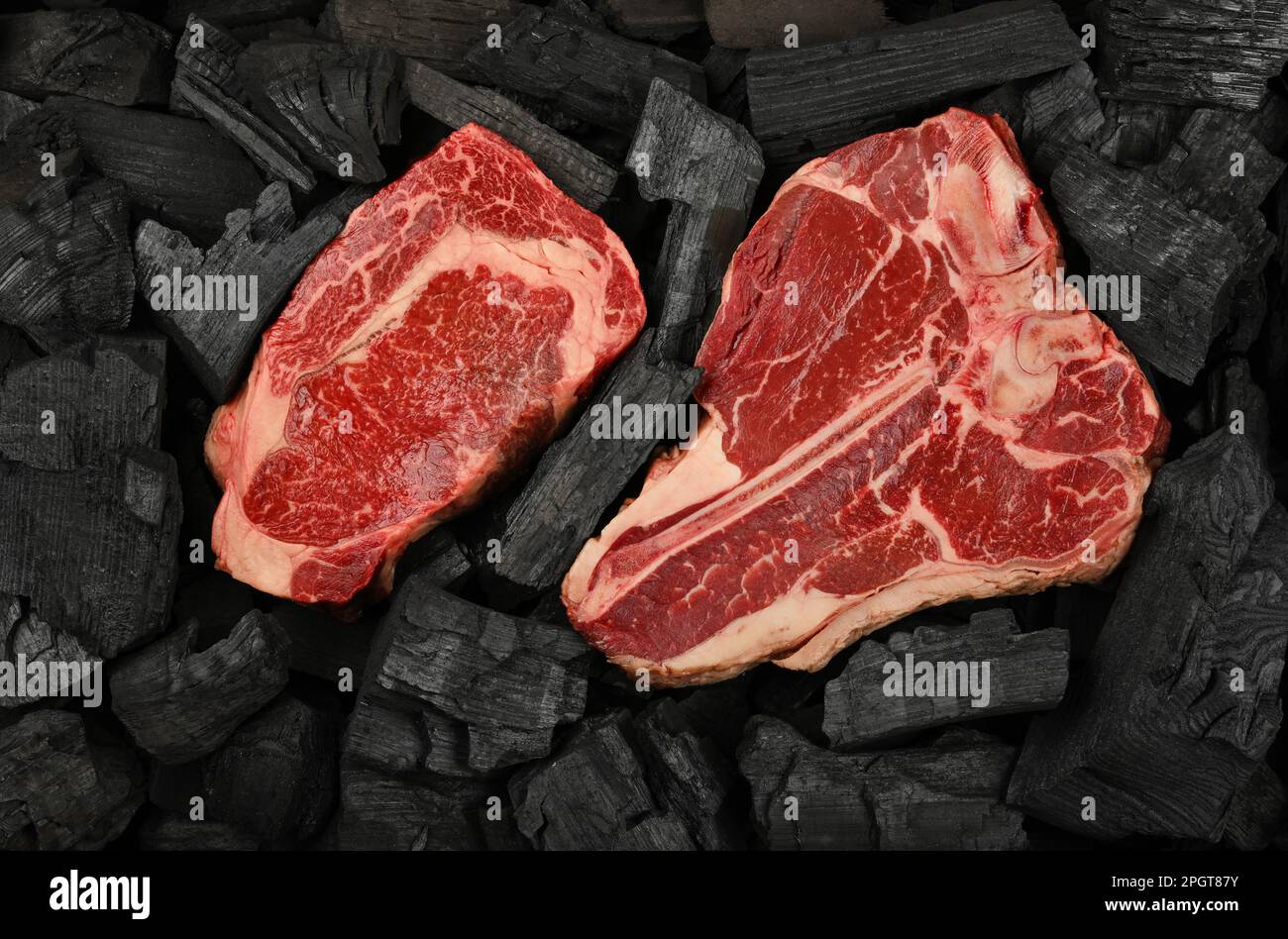 Gros plan sur une ribeye crue marbrée et des steaks de bœuf en os de porterhouse sur des morceaux de charbon de bois de bœuf de bœuf noir prêts pour la cuisson au barbecue, élevés Banque D'Images