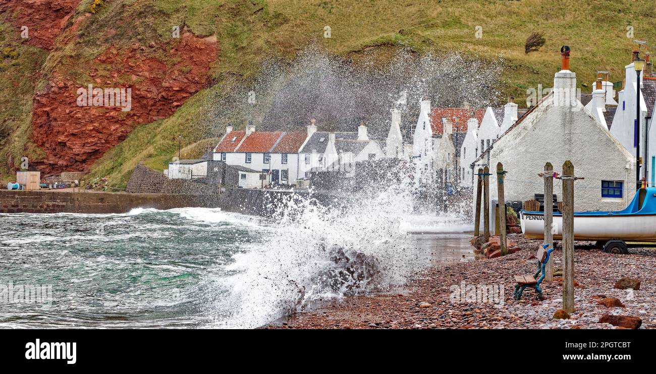 Pennan village Aberdeenshire Ecosse une marée très haute et des vagues avec des cailloux s'écrasant sur la rangée de maisons Banque D'Images