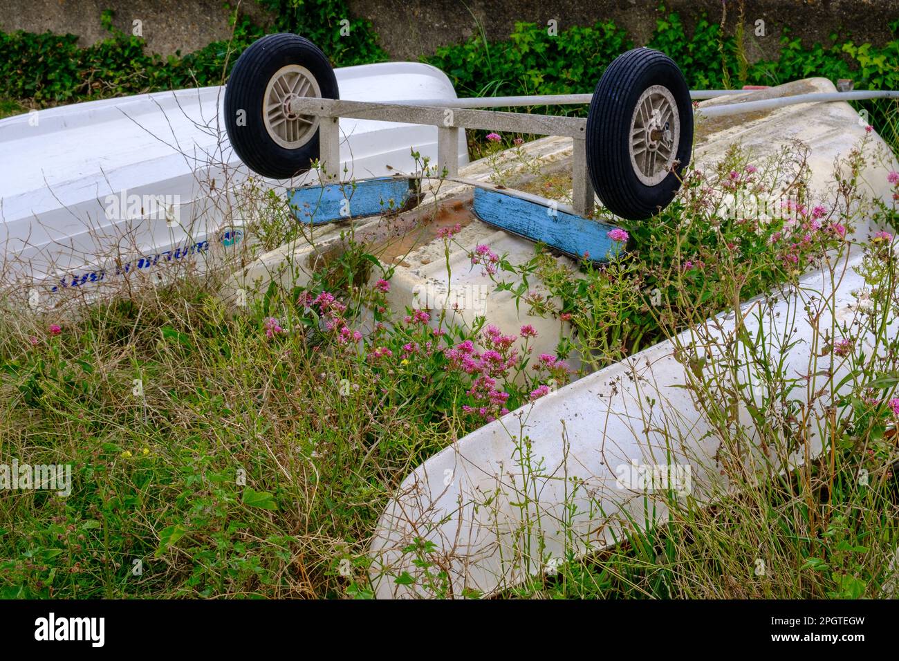 Détail des bateaux détournés avec des roues vers le haut sur le feuillage surcultivé. Whitstable, côte nord du Kent, Angleterre, Royaume-Uni Banque D'Images