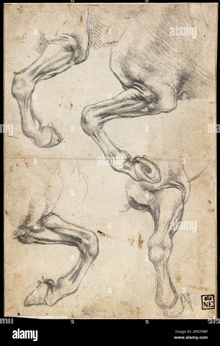 Etudes de la jambe du cheval (1485 - 1495) par Leonardo da Vinci Banque D'Images