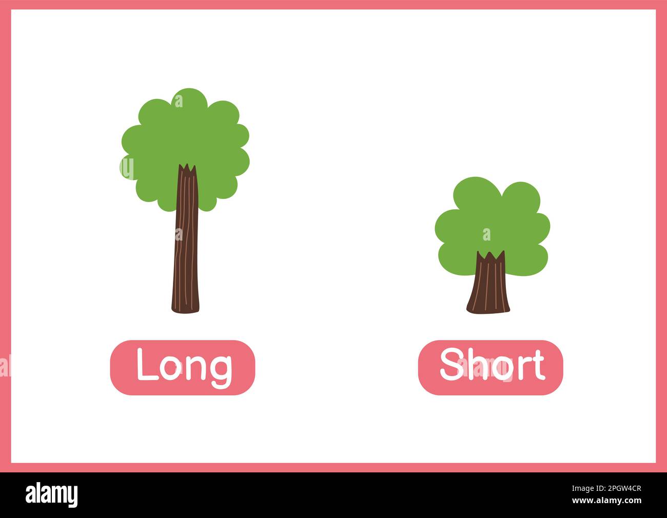 Adjactive Tree Carte-mémoire éducative des adjectifs opposés, longue et courte. Carte ...