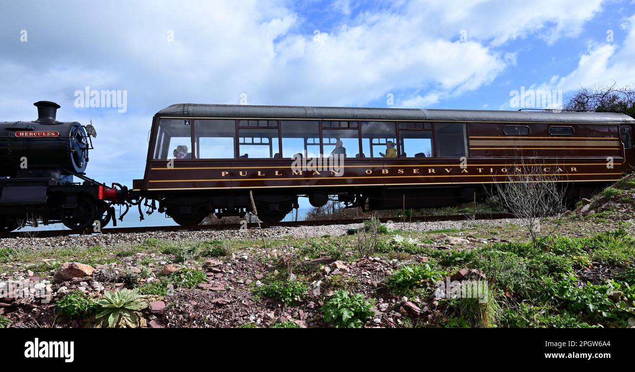 Voiture d'observation Devon Belle Pullman n° 13 passant Goodrington sur le chemin de fer à vapeur de Dartmouth, transporté à Paignton par le réservoir GWR n° 4277 Hercules. Banque D'Images