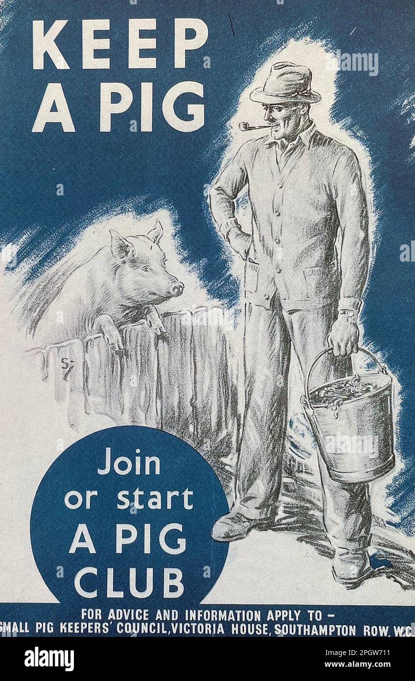 GARDEZ Une AFFICHE BRITANNIQUE de porc WW2 encourageant les aliments cultivés à la maison Banque D'Images