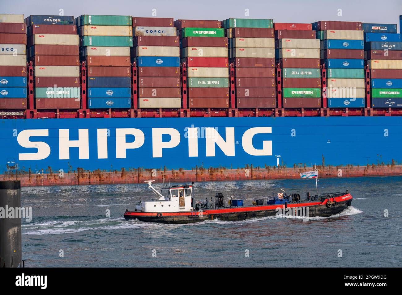 Harbour Tung amène le cargo porte-conteneurs Cosco Shipping Leo à son poste d'amarrage à Hutchison ports ECT Euromax, sur le Yangtzekanaal sur Maasvlakte 2, Rotte Banque D'Images