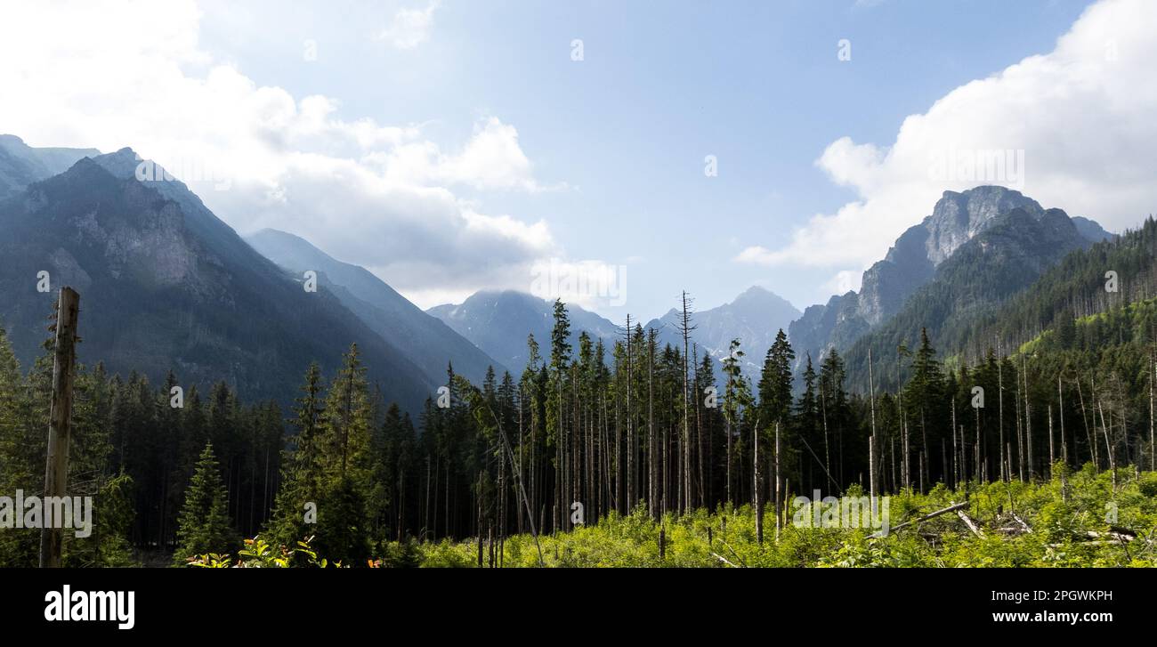 Parc national de Tatra. Pics polonais en été. Banque D'Images