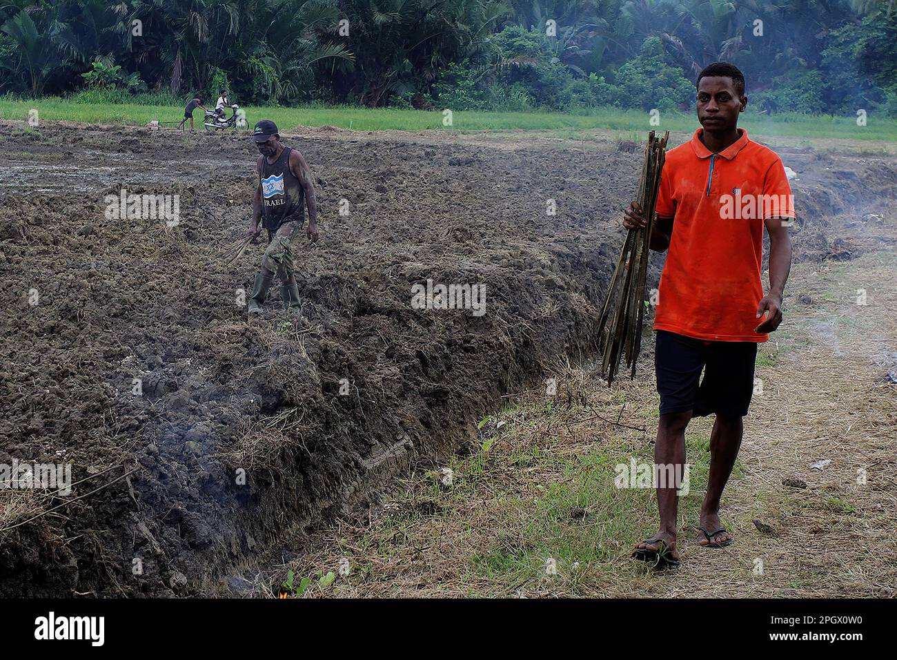 Jayapura, Papouasie, Indonésie. 19th mars 2023. Les agriculteurs préparent la terre à être utilisée comme jardin de maïs à Genyem. (Credit image: © Angga Budhiyanto/SOPA Images via ZUMA Press Wire) USAGE ÉDITORIAL SEULEMENT! Non destiné À un usage commercial ! Banque D'Images