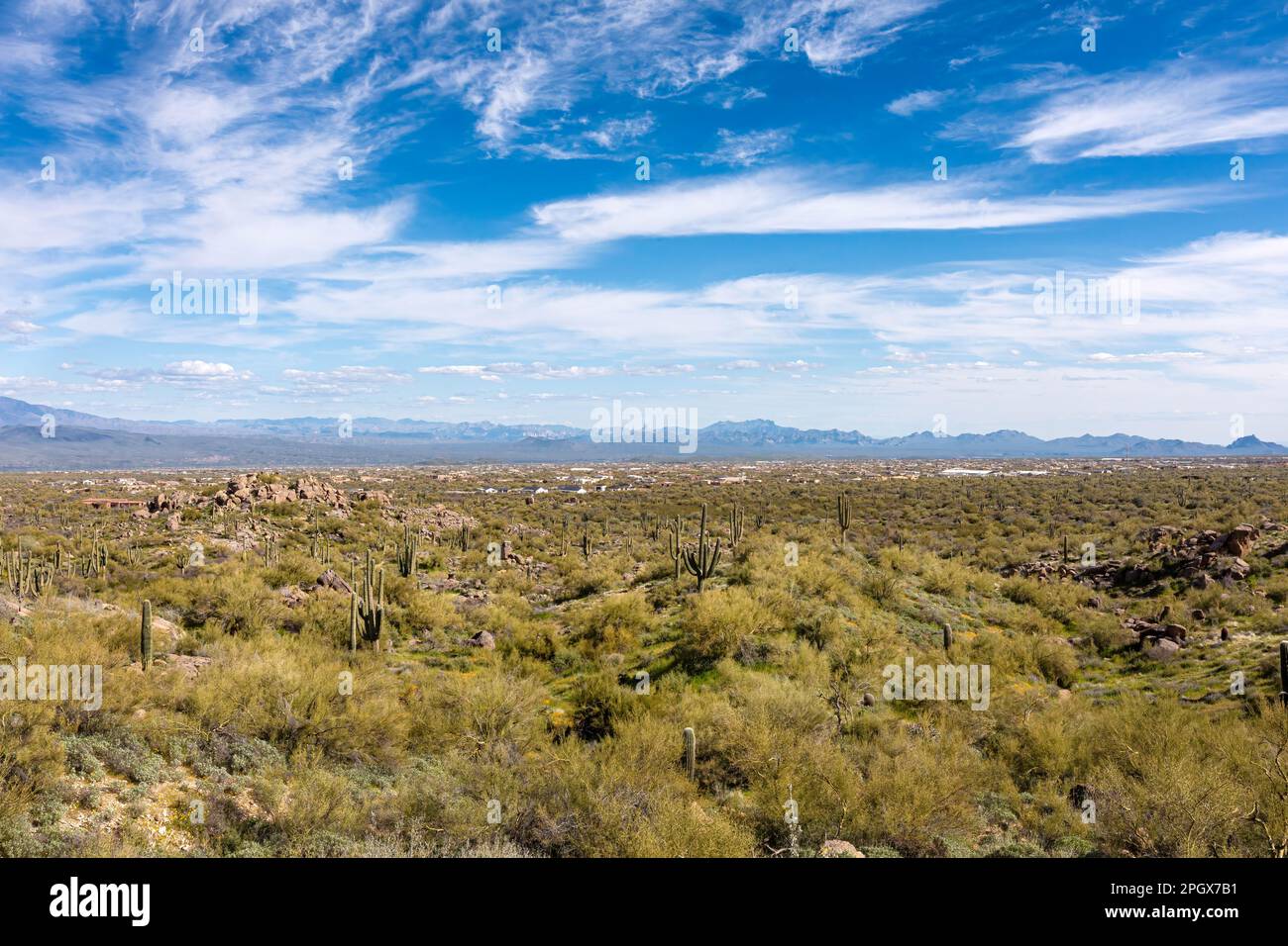 Scène désertique générique, surplombant Scottsdale, Arizona, États-Unis Banque D'Images